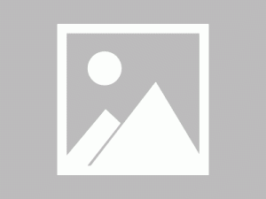 再见Bard：谷歌将 Bard 更名为 Gemini，首次推出 Ultra 1.0 型号和 Android 应用程序