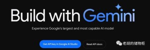 媲美GPT4，一键搭建谷歌 Gemini