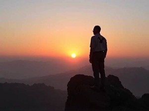 如何在安卓设备上下载和使用谷歌Gemini 2.5 Pro？